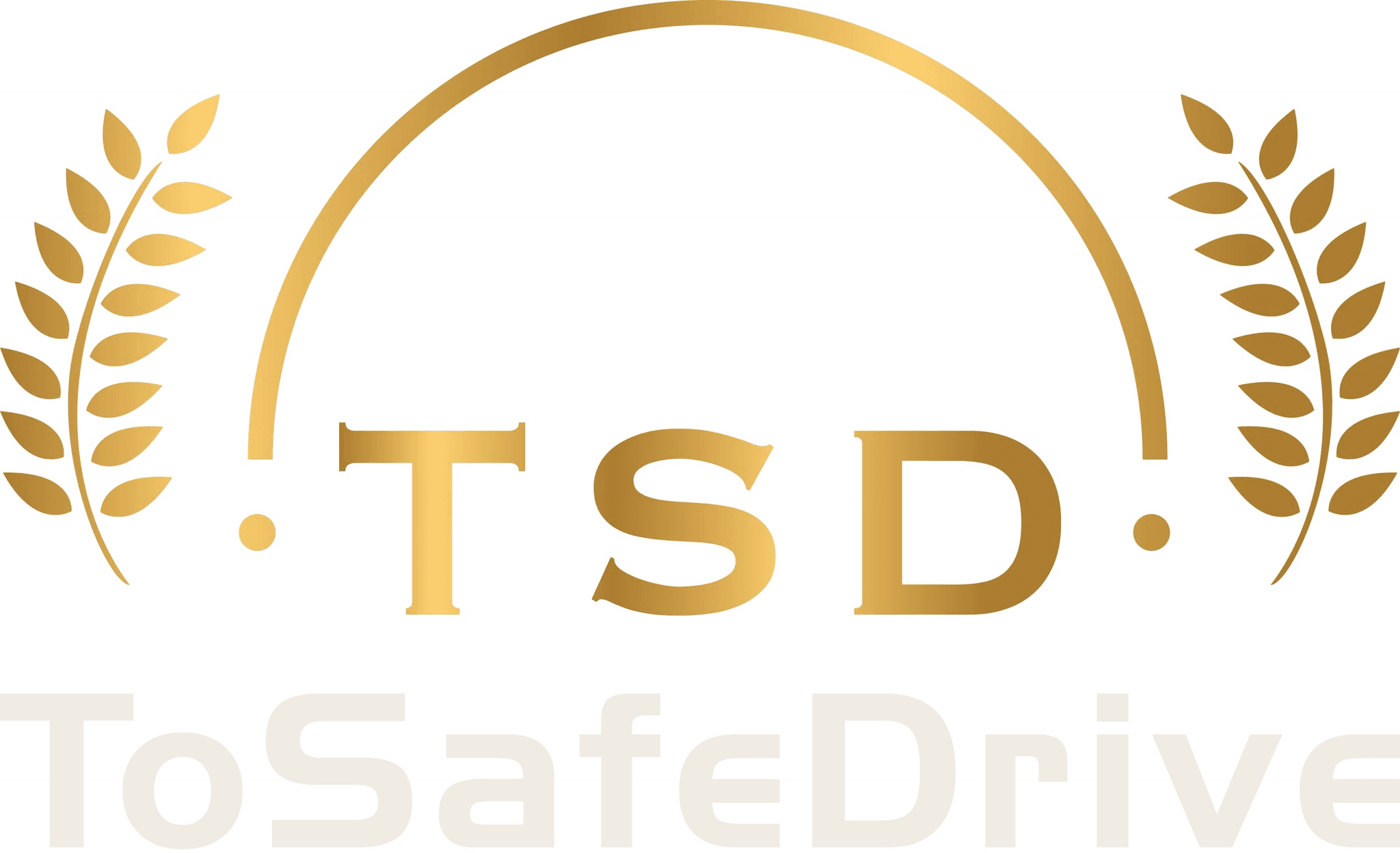 ToSafeDrive